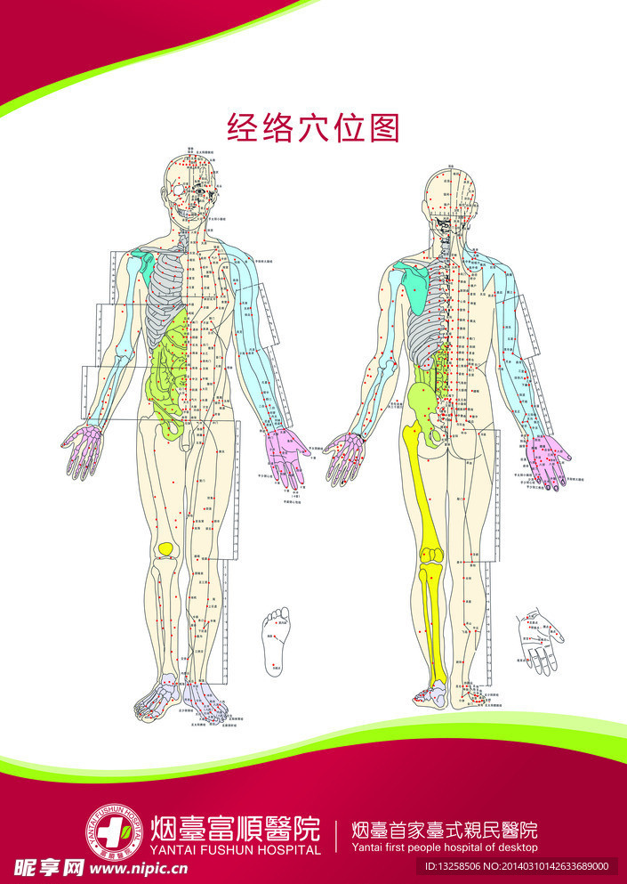 医疗 解刨图