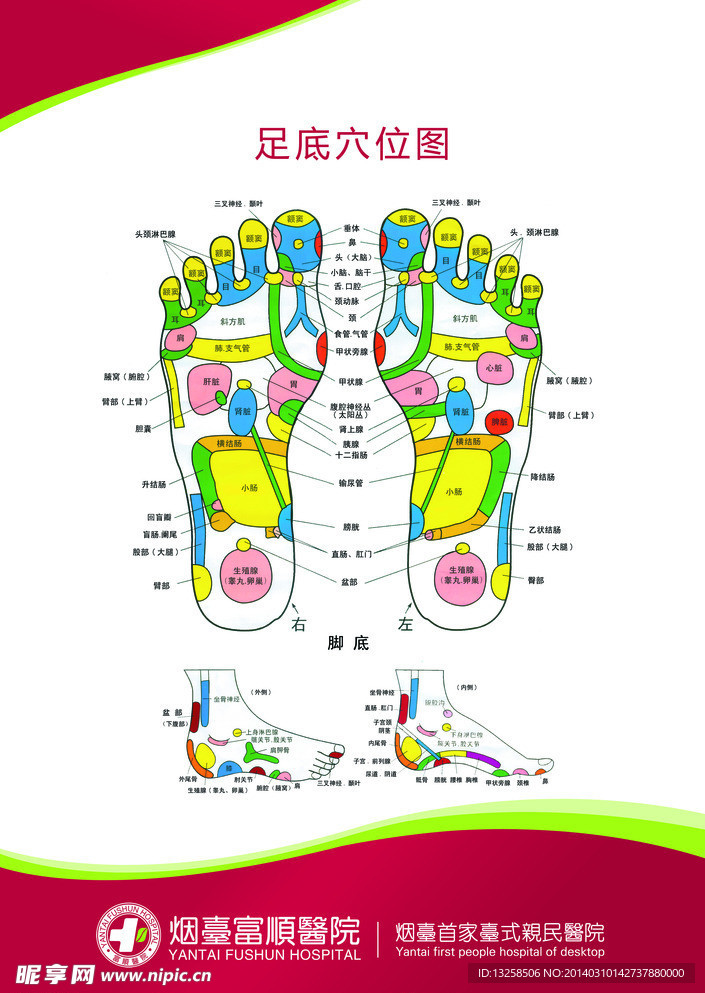 医疗解刨图