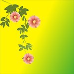 花朵