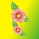 花朵