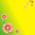 花朵