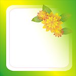 花纹