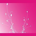 花纹