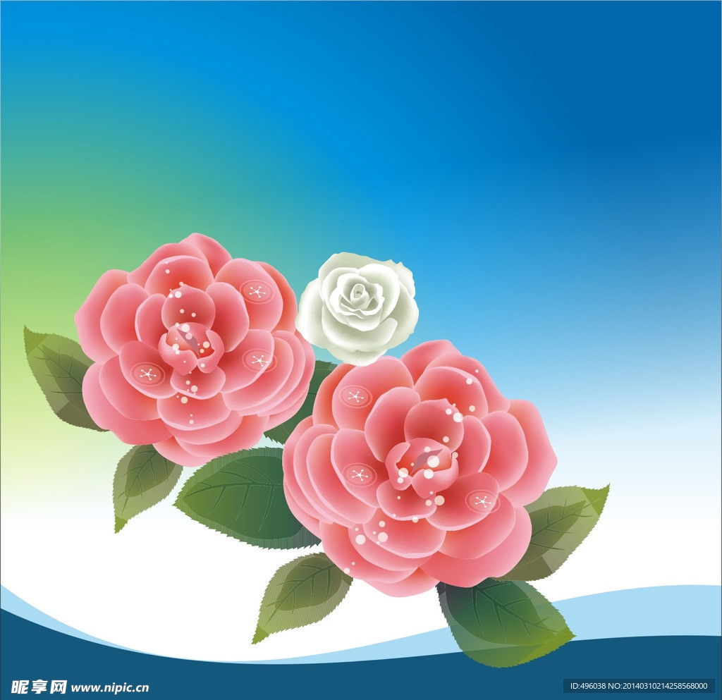 花朵