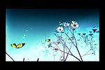 花朵蝴蝶视频素材