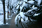 雪韵