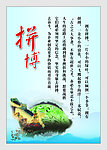 拼搏