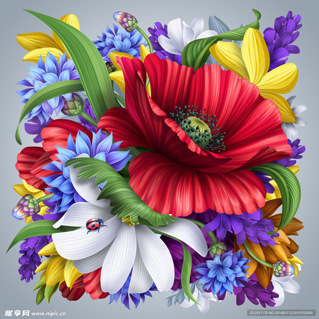 花卉 动漫