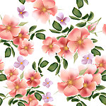 手绘花卉