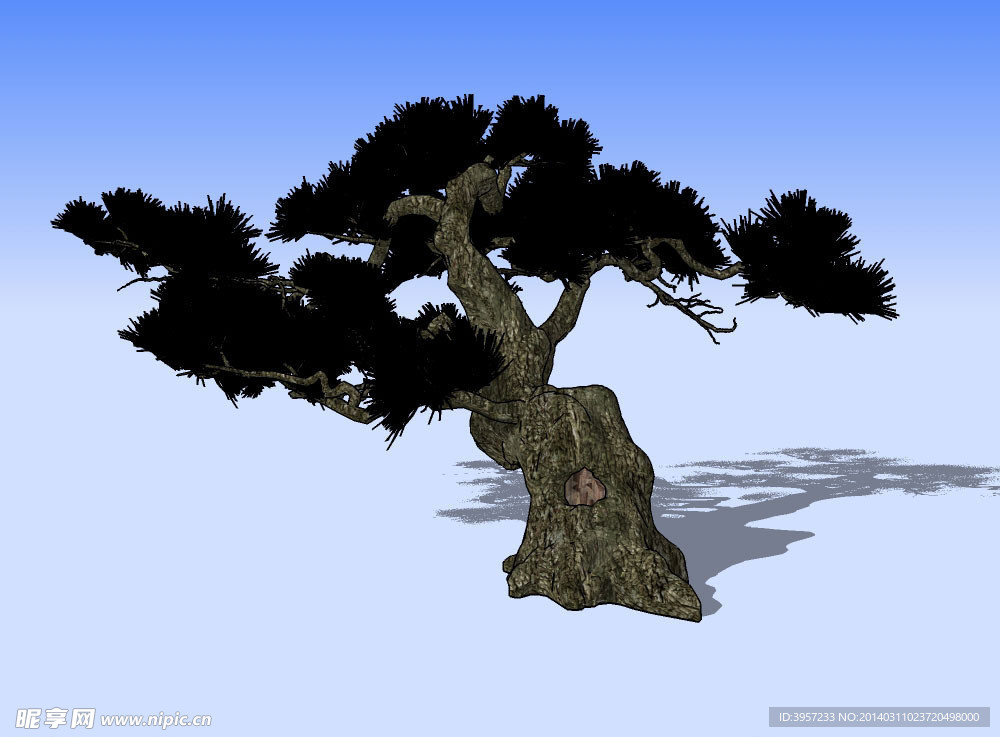 古松3D模型