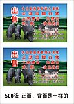 出售本地猪名片