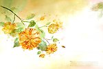 花卉背景 欧式花卉