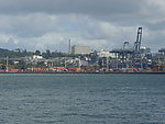 新西兰码头风景