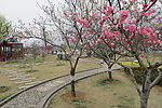 春到嵩山