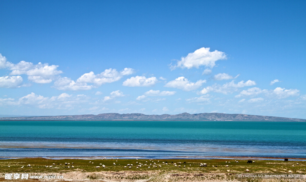青海湖