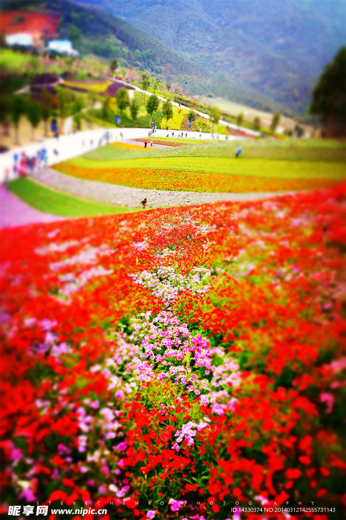 十里蓝山花海