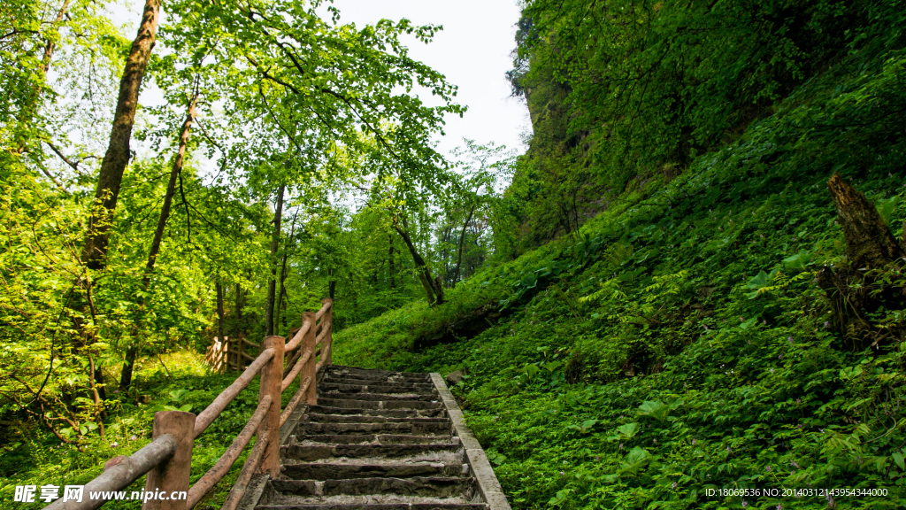 峨眉山后山