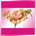 花纹
