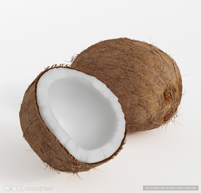 椰子三维模型