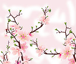 拉门桃花