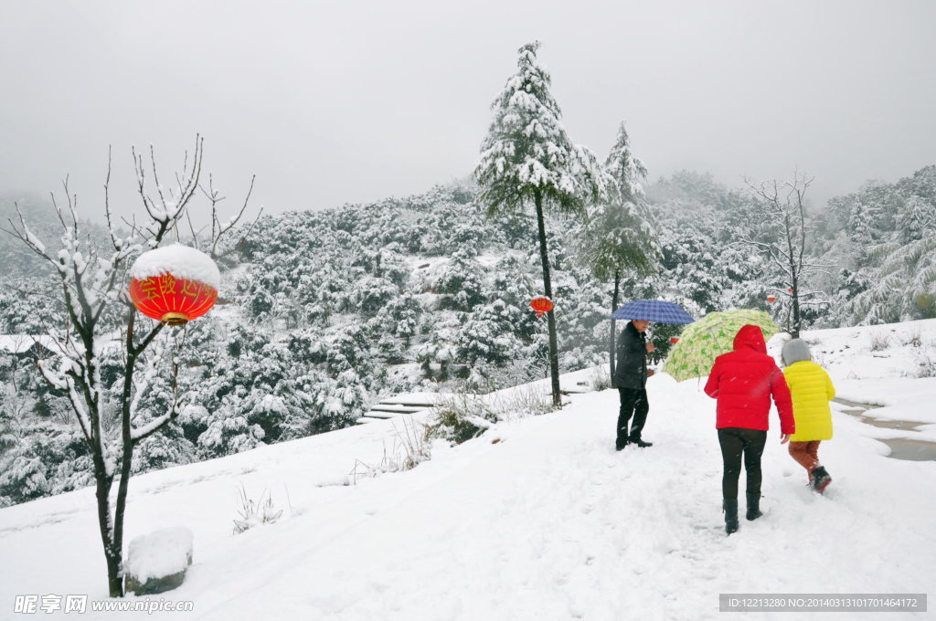 白雪