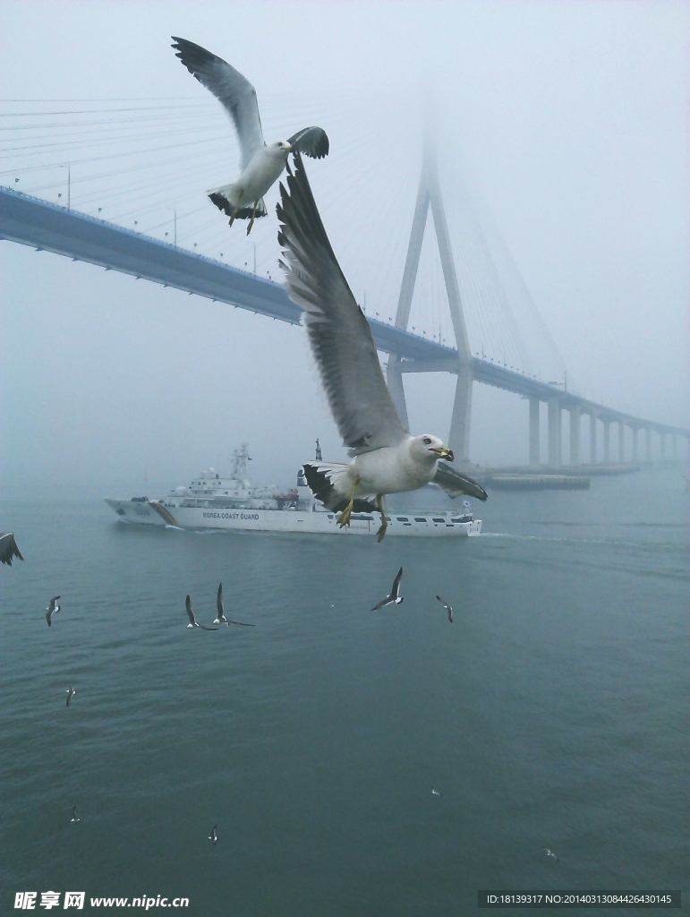 海上的桥