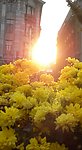 光芒