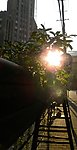 夕阳