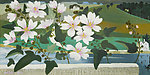 静物绘画