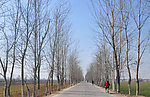 乡间小路