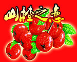 山楂之恋