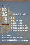 招聘海报