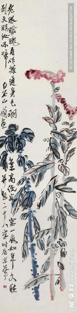 齐白石 鸡冠花