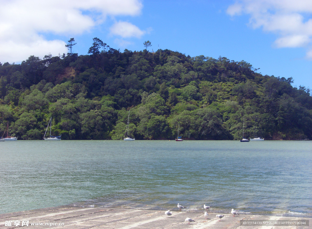 新西兰海滨风景