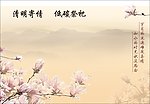 卡片