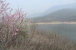少林水库春景