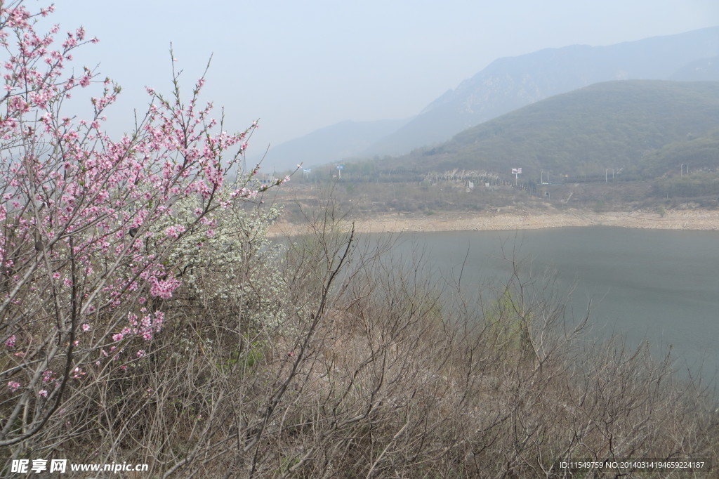 少林水库春景