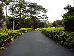 深圳湾公园