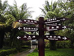 深圳湾公园