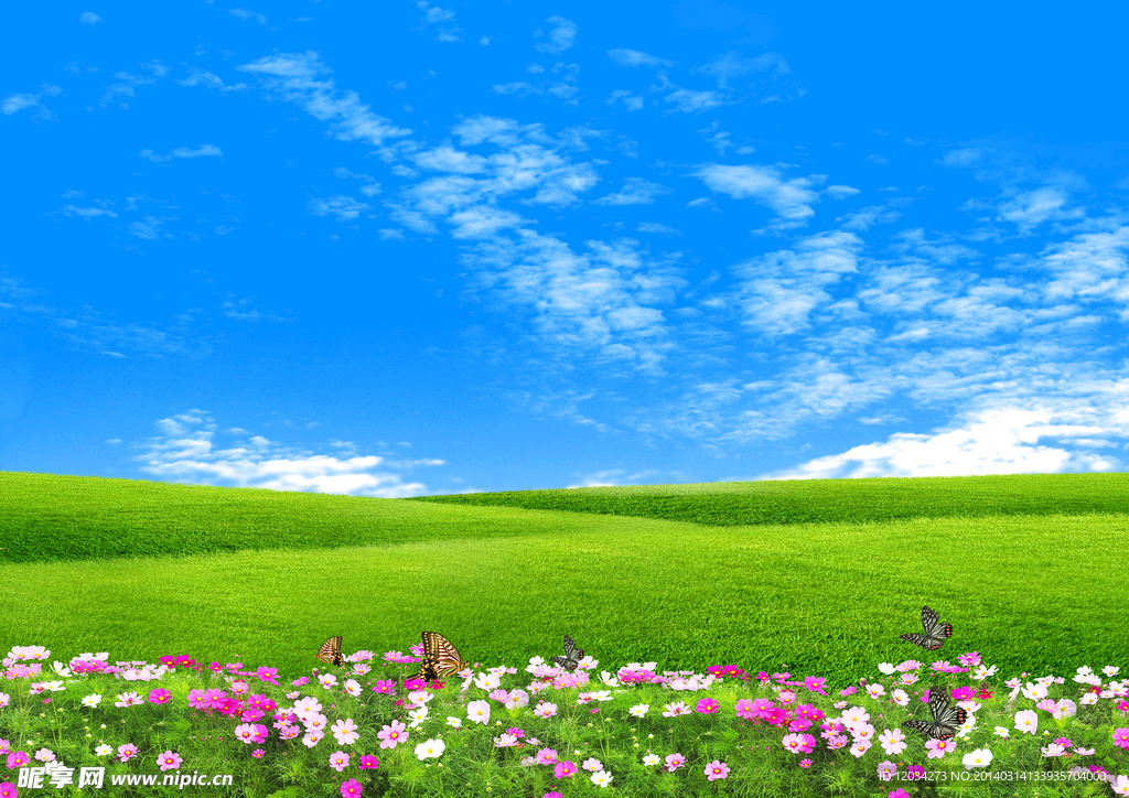蓝天草地