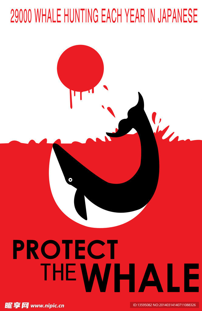 保护 鲸鱼 日本