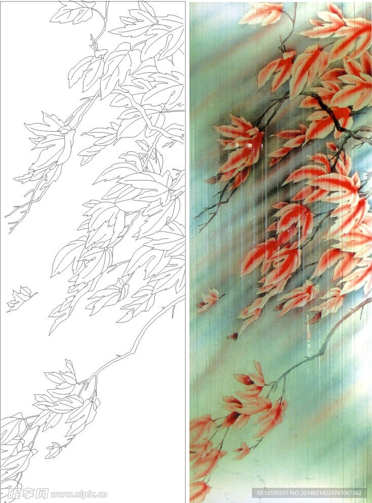枫叶