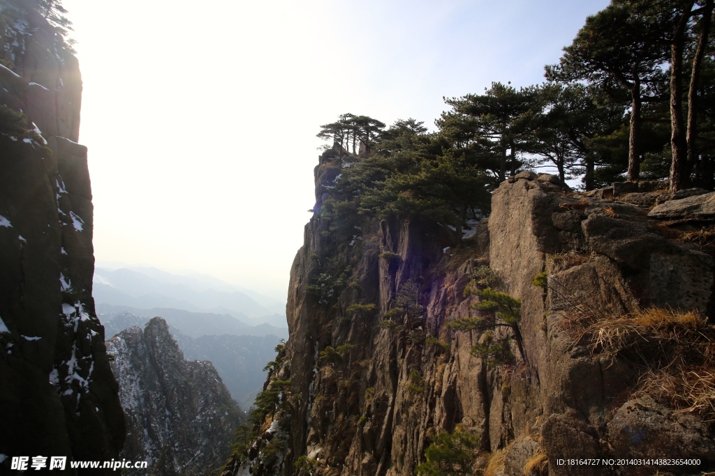 黄山奇峰异松