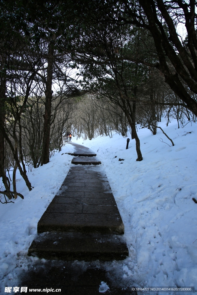 雪景