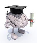 3d小人学士