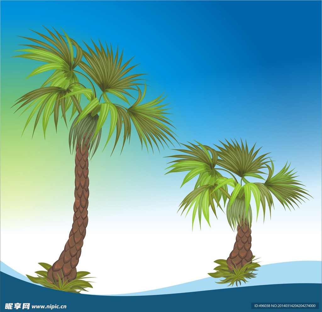 椰树
