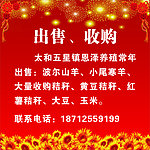 出售 收购