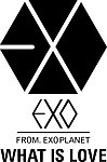 exo 组合