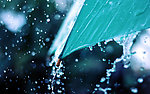 雨中的伞