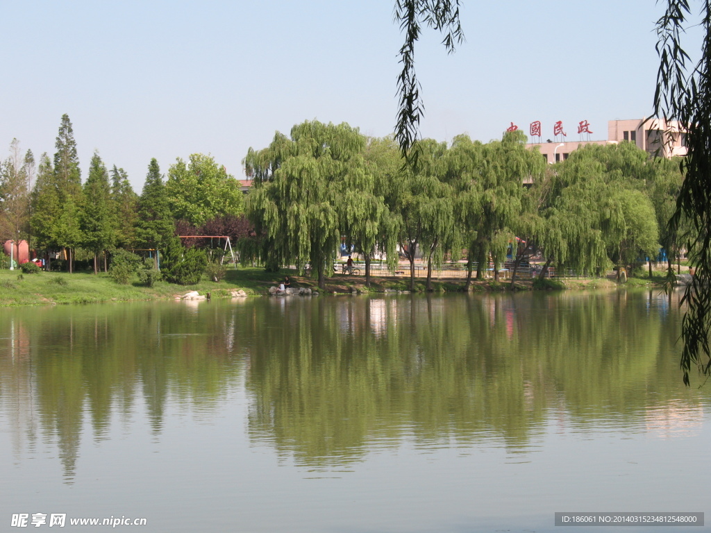 公园风景